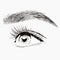 Illustration. The make-up artist does Long-lasting styling of the eyebrows of the eyebrows and will color the eyebrows. Eyebrow la
