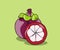 illustration of the mangosteen fruit, a special fruit with soft flesh and very sweet