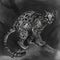 Illustration of a margay cat
