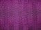 Illustration of  mesh purple patterns- great for wallpapers