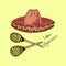 Illustration of Mexico. Hat sombrero and maracas. I love Mexican.