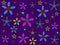 Illustration, multicolored flowers of different size on purple background, floral print