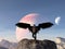Illustration of a muscled angelic man standing on a large boulder with black wings wearing pants against a rising planet