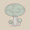 Illustration of a mushroom drawing