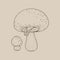 Illustration of mushroom isolated vector