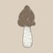 Illustration of mushroom vegetable isolated