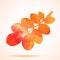 Illustration of Orange watercolor dog-rose leaf