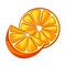 Illustration of oranges whole and slices.