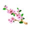 Illustration of origami cherry blossom branch