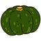 Illustration of outlined green pumpkin