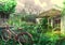 Illustration of a Overgrown Garden with Vintage Bicycle and Old Garden House