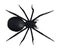 Illustration of an overhead view of a large black hairy spider walking forward isolated on a white background