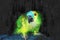 Illustration or painting of Blue fronted Amazon parrot bird