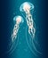 Illustration of a pair of jellyfishes