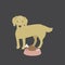Illustration of pet dog eating meat