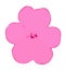 The illustration of a pink flower of garden balsamine Impatiens parviflora. Drawing - Vector - Cartoon.