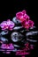 illustration of pink orchids on wet stones on black background. vertical. Spa concept. generative AI