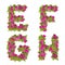 Illustration of pink wild rose flowers alphabet - letters E-H