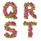 Illustration of pink wild rose flowers alphabet - letters Q-T