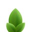 Illustration of plant three realistic green leaves isolated on