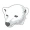 Illustration of polar bear animal wildlife