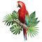 Illustration polygonal drawing of green wing macaw