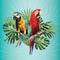 Illustration polygonal drawing of two macaw birds