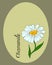 Illustration, postcard, wedding invitation, delicate chamomile, minimalism design