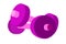 Illustration of purple dumbbell vector icon for web