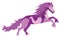 Illustration purple Horse