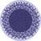 Illustration of Purple Wreath Sandpaper Vine flower with violet circle on soft violet circle background