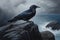 Illustration of raven on dark cliffs, waves hit shoreline, stormy weather and moody sky