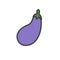 Illustration of raw eggplant icon