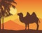 Illustration with realistic silhouette of a camel and palm trees. Sand dunes and desert on background under orange sky with sun,