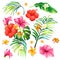 illustration of a realistic style branch of a tropical palm tree with hibiscus flowers