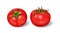 illustration of a realistic style set of red fresh tomatoes with green stems