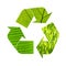 Illustration recycling symbol of green foliage