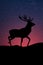 Illustration of a reindeer moose with sunset and night sky