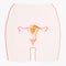 Illustration of the reproductive organ a woman uterus.