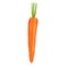 Illustration of ripe fresh realistic carrot