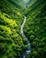 Illustration of a river runs through a valley with mountains in the background.