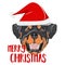 Illustration Rottweiler dog Merry Christmas