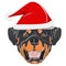 Illustration Rottweiler with red Christmas hat