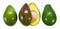 Illustration row of cut and heap avocados isolated on white background