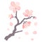 Illustration of sakura branch. Beautiful decorative plant.