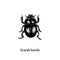 Illustration of Scarab beetle. Drawn insect in engraving style. Sketch in vector.