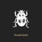 Illustration of Scarab beetle. Drawn insect in engraving style. Sketch in vector.