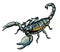 Illustration of scorpion arachnid insect. vector graphics