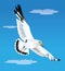 Illustration of a seagull flying bird gliding in the blue sky
