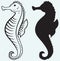 Illustration seahorse